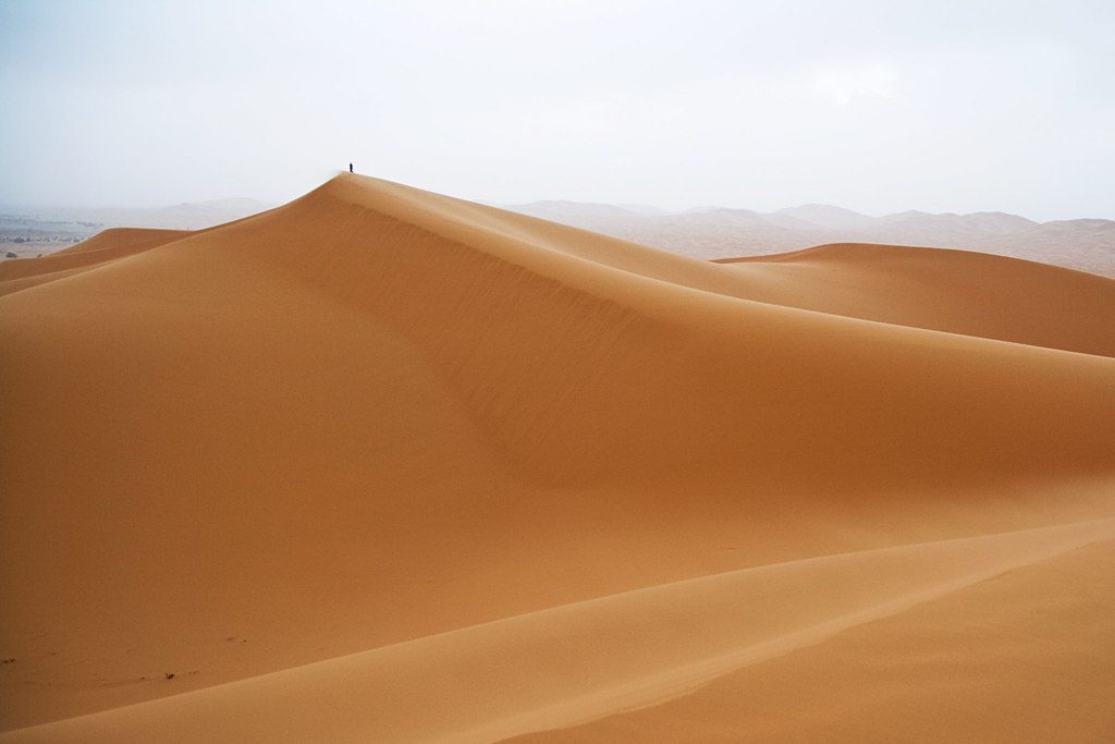 A tall sand dune at Erg Chebbi in the Moroccan Sahara at dawn.